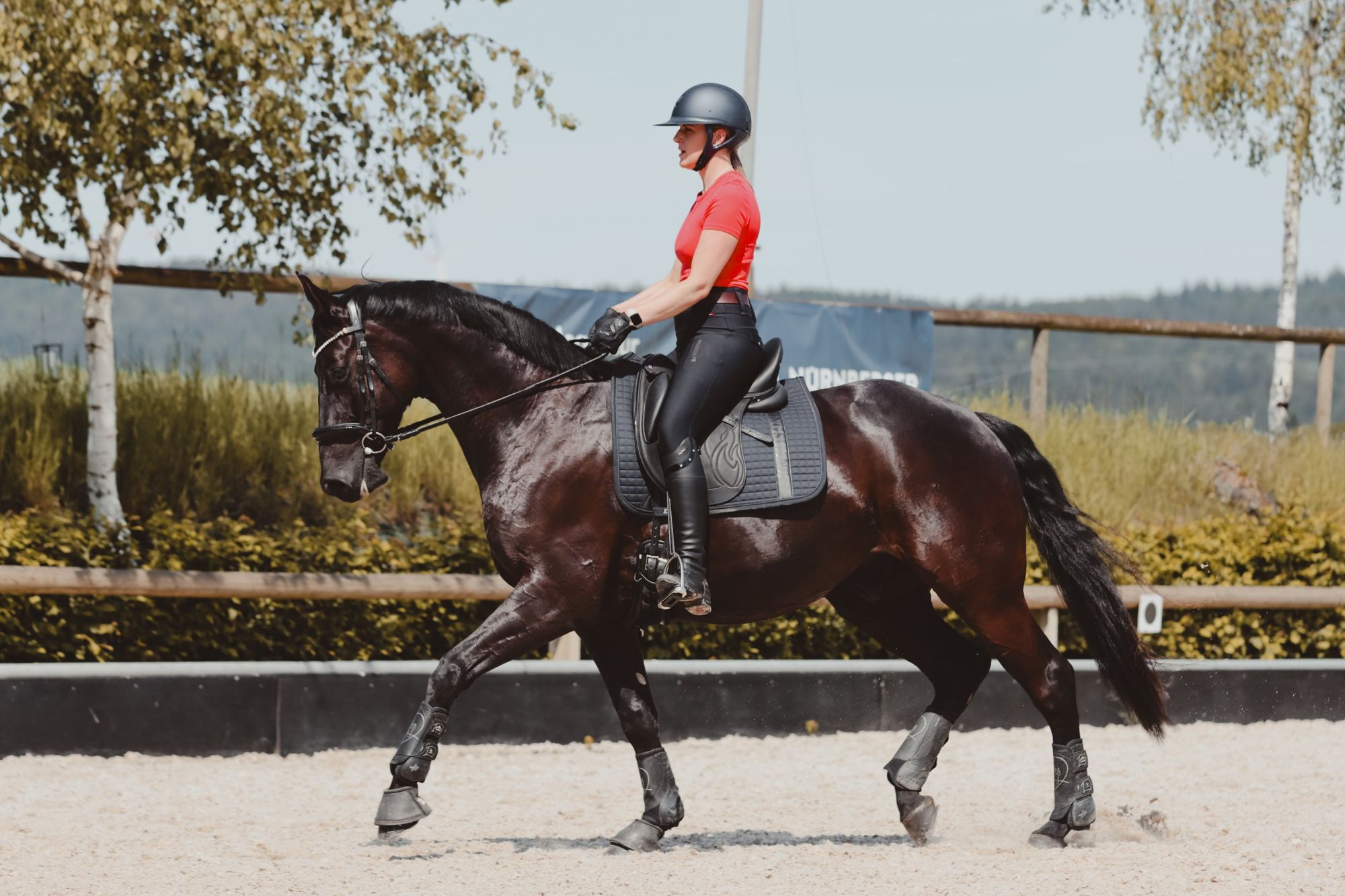 Rider in extended trot on a dark horse with an Equiveron dressage saddle